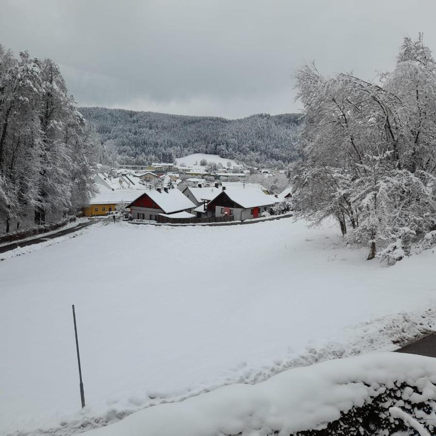 Haus Am Schloss Bleiburg Exteriör bild