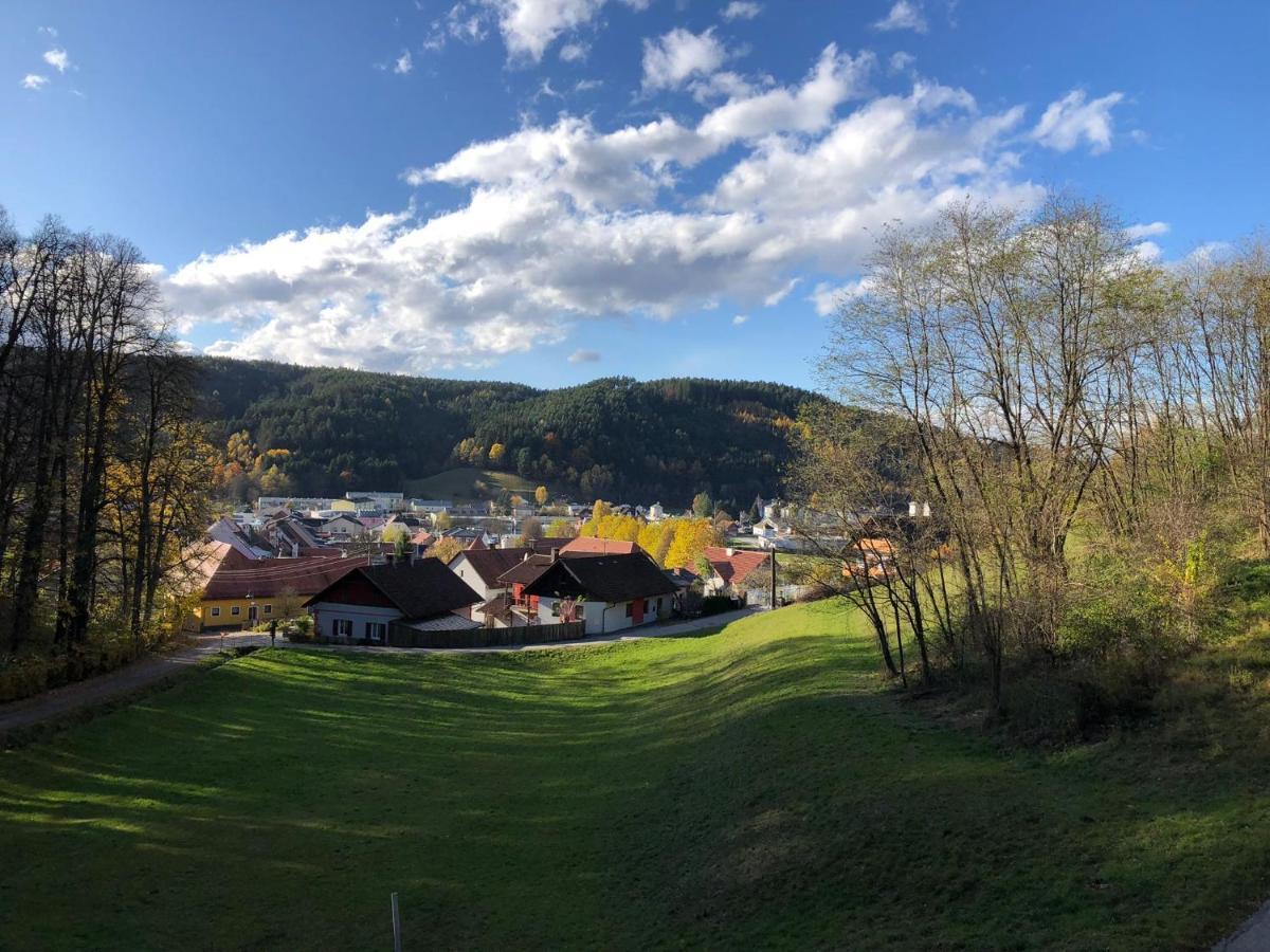 Haus Am Schloss Bleiburg Exteriör bild