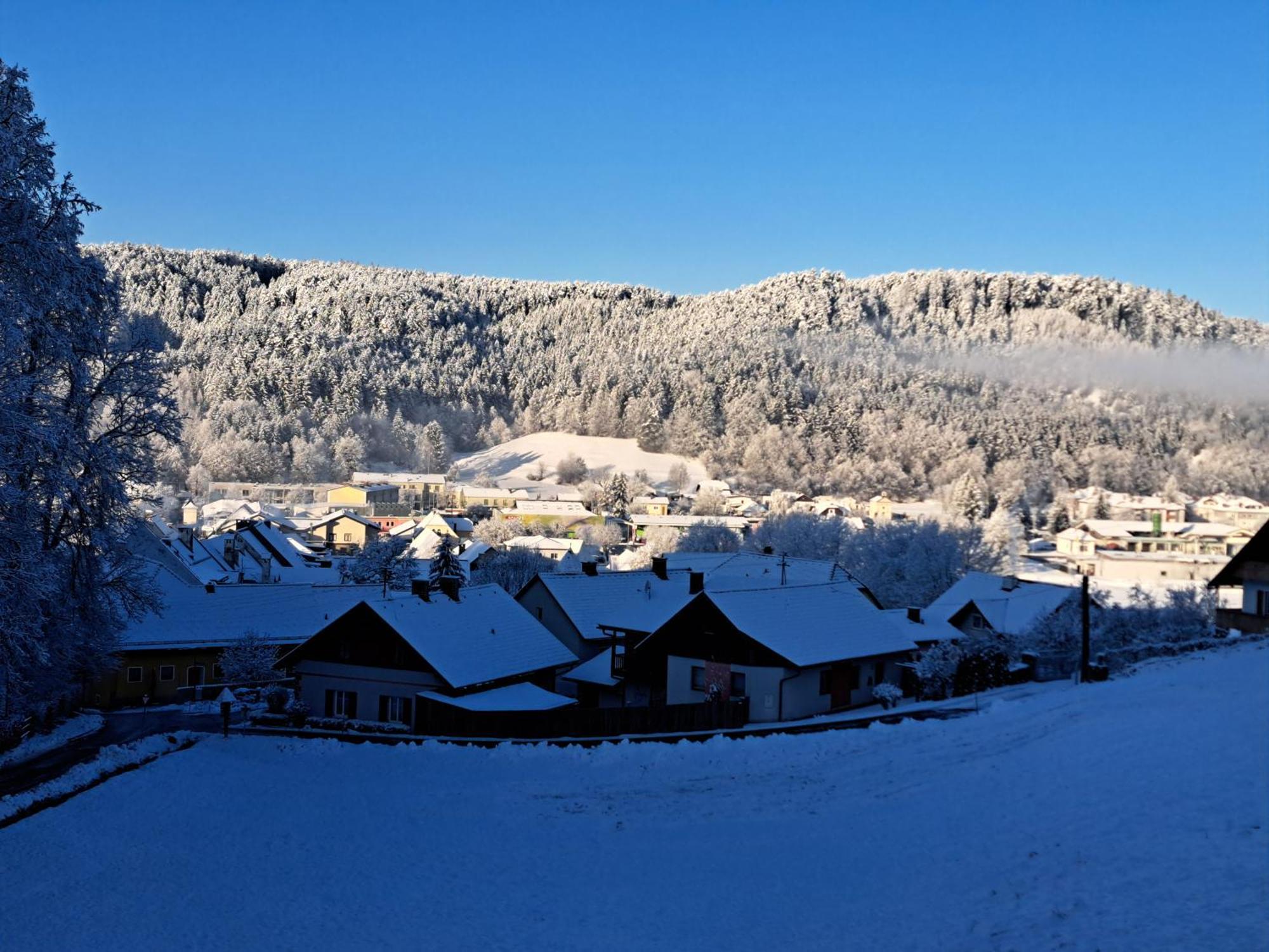 Haus Am Schloss Bleiburg Exteriör bild